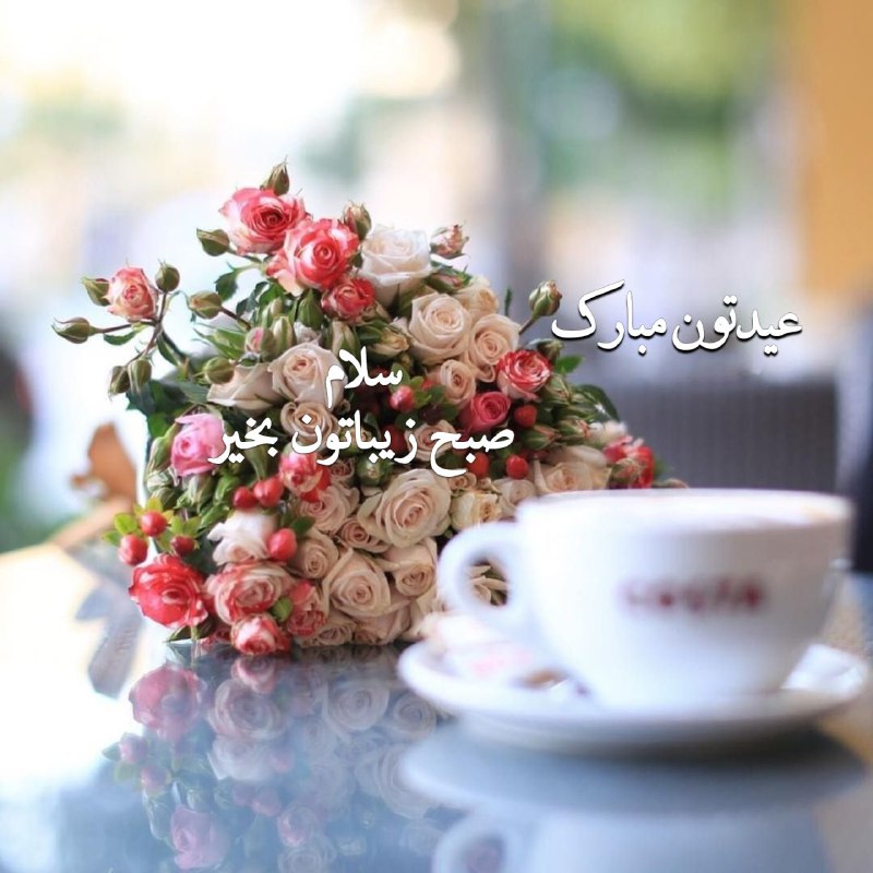 ســـ***?***ــلام***✋***