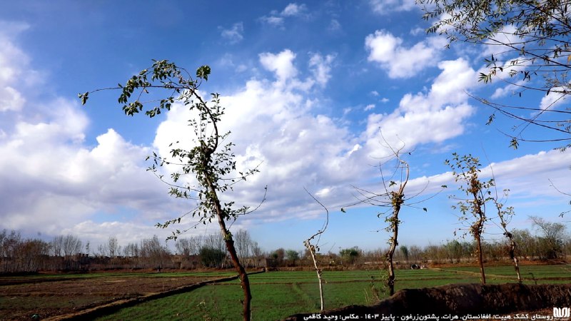 روستای کشک هیبت، افغانستان، هرات، پشتون‌زرغون …