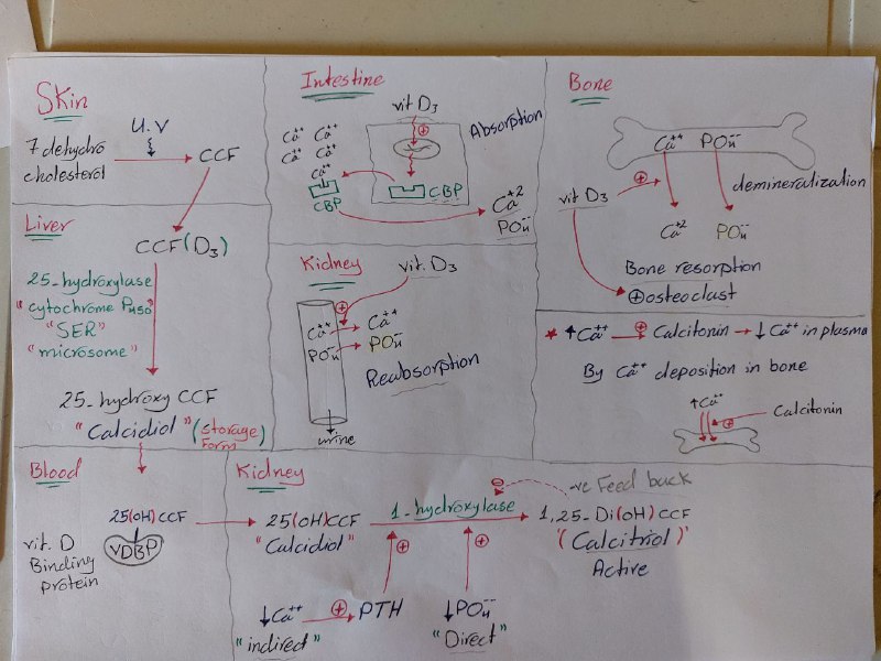 #Biochemistry_52_dr.MOATH