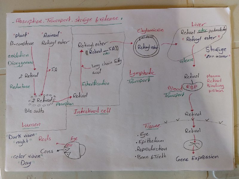 #Biochemistry_52_dr.MOATH