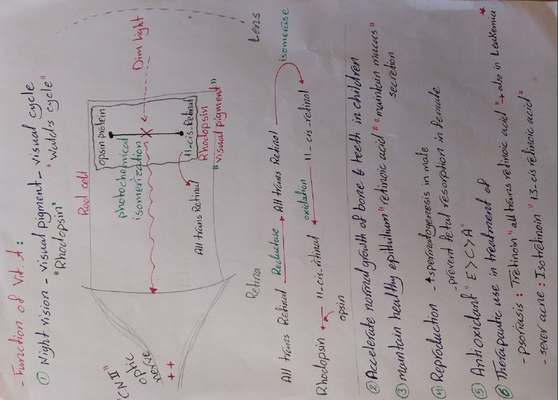 #Biochemistry_52_dr.MOATH