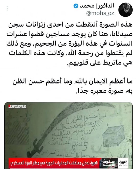 هذه الصورة ستعني لك الكثير إذا …