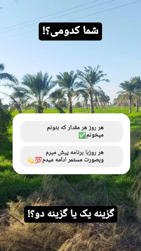 داوطلب‌های ارزشمندی***?*** که با یک برنامه‌ریزی …
