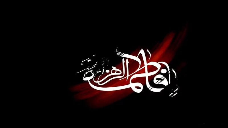 در ظلمت شب شهاب را می …