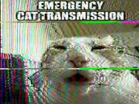 eternal cropped