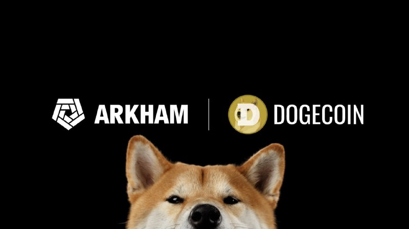 Arkham интегрировали сеть Dogecoin в свой …