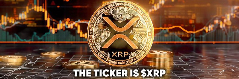 $XRP 24小时内持币地址已突破38000，目前市值1253w静待后续发展