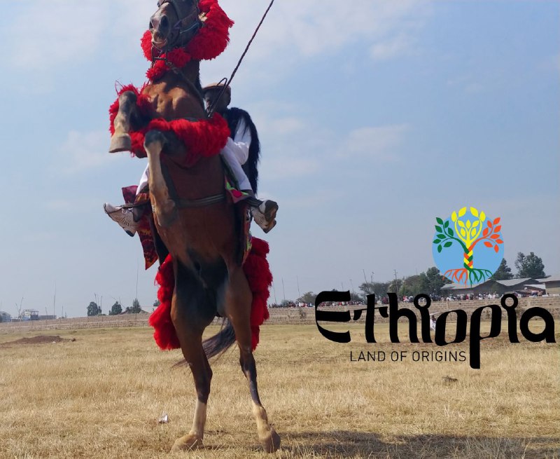 Ethiopia Land of Origins ኢትዮጵያ ምድረ …