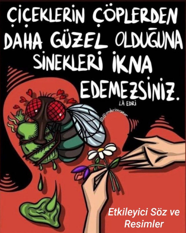 Sinek gibi çöplük seven insanların hayatınızdan …