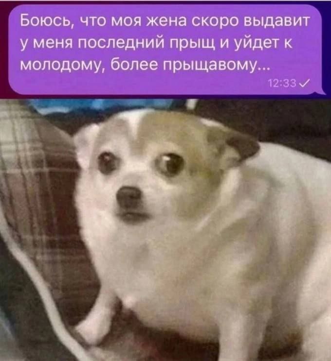 Это могли быть мы с тобой