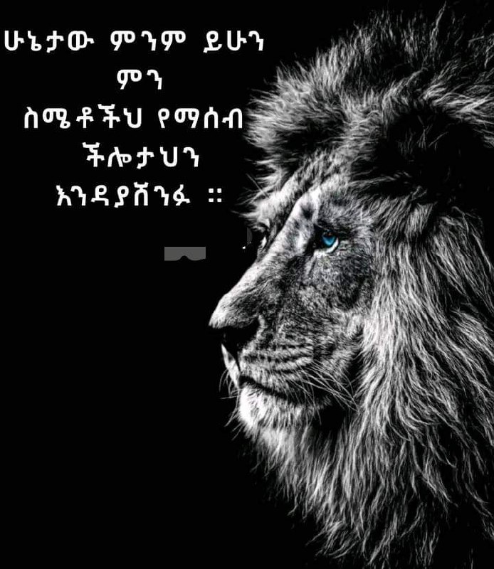 ***🗣️***ሁኔታው ምንም ይሁን ምን ስሜቶችህ የማሰብ …