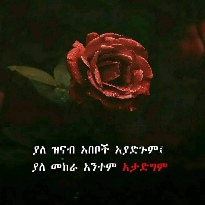 ***🗣️***ያለ ዝናብ አበቦች አያድጉም ፤