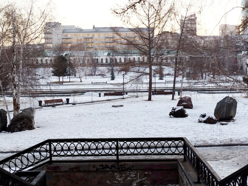 Главное дерево на среднем Урале не …