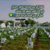 [طوفان اليمن | طوفان الاقصى ⇥ لستة شعراء الوطن الاحرار لدعم القنوات الجهادية***?***](https://t.me/hikayat_shahid)