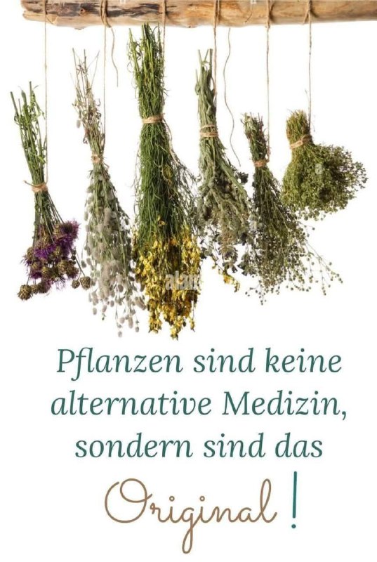 ***Las plantas no son medicina alternativa, …