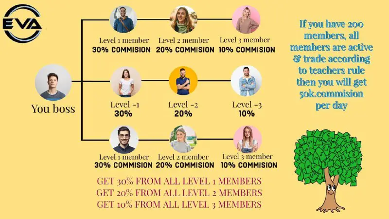 **Team commissions are 30%, 20% and …