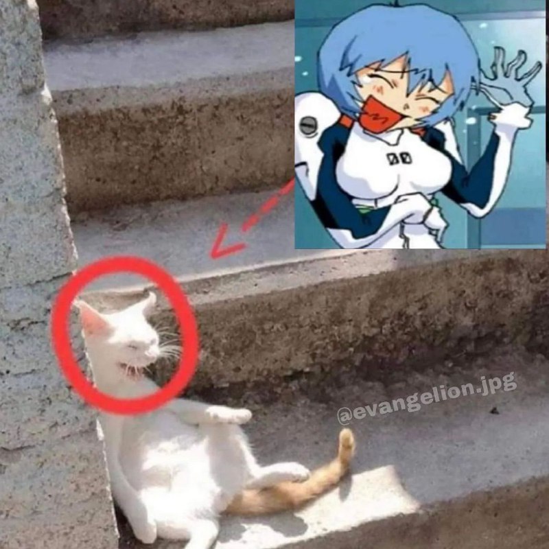 Evangelion memes 🇺🇦