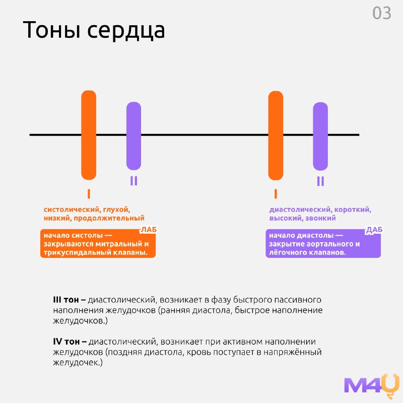 ДОКАЗАТЕЛЬНАЯ КАРДИОЛОГИЯ