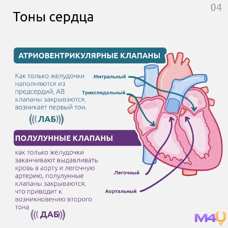 ДОКАЗАТЕЛЬНАЯ КАРДИОЛОГИЯ