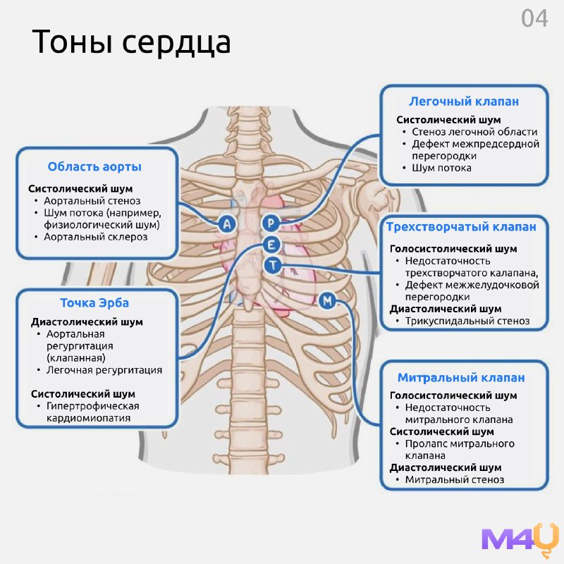 ДОКАЗАТЕЛЬНАЯ КАРДИОЛОГИЯ