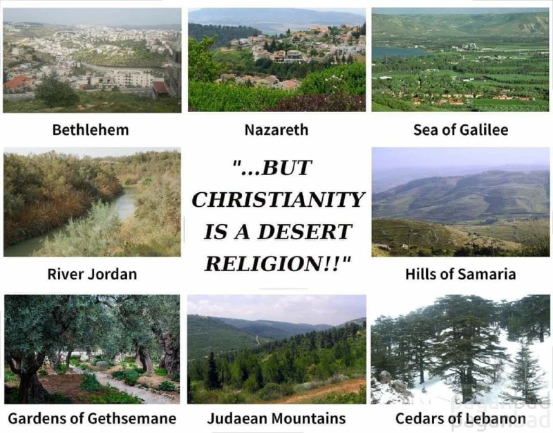 Many detractors of Christianity like to …