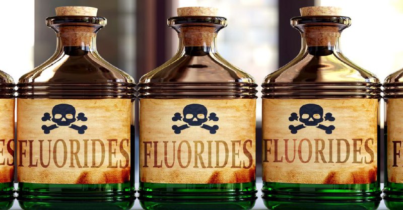 **Fluoride Is Toxic to Developing Brains, …