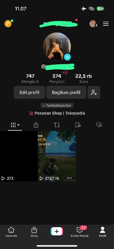 WTS AKUN TIKTOK SAFE PRIBADI