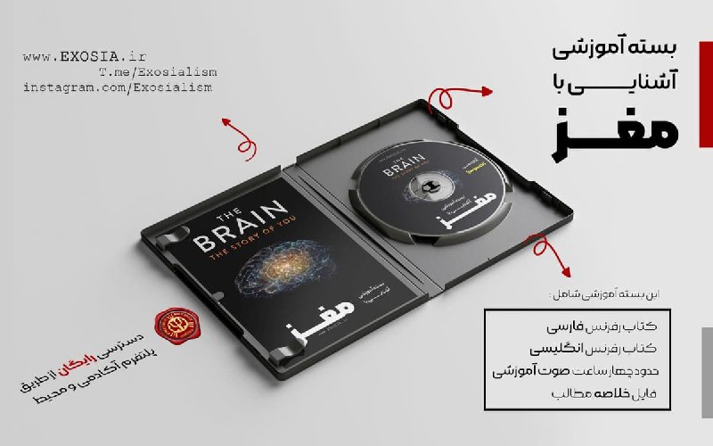 ***🧠*** بسته آشنایی با مغز – …