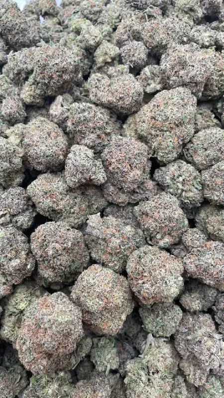 Caliplug Exotic Marijuana 🍁 🔥 Florida