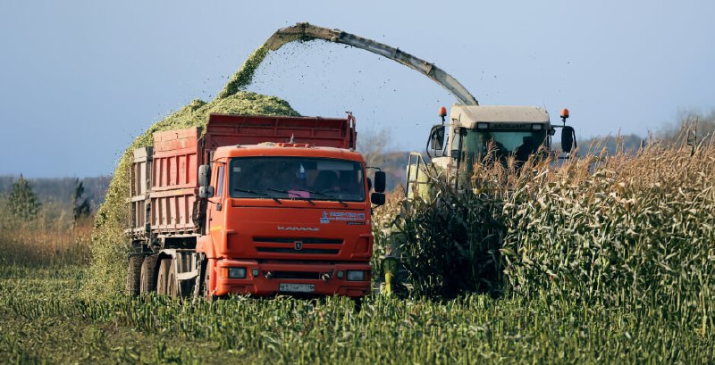 ***📈*** **Россия может нарастить экспорт продукции …