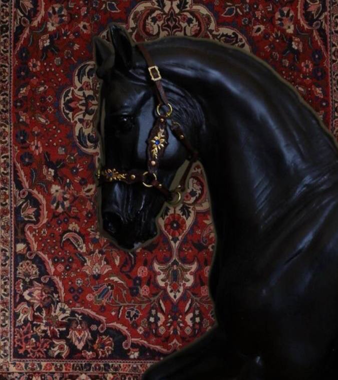 الآنِسْه سَـارا.