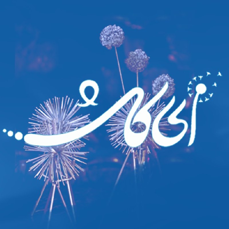 مدت کوتاهی‌ست که این کانال را …