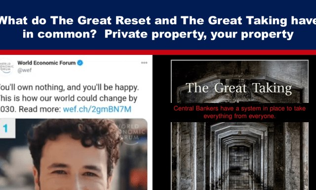 **What do The Great Reset and …