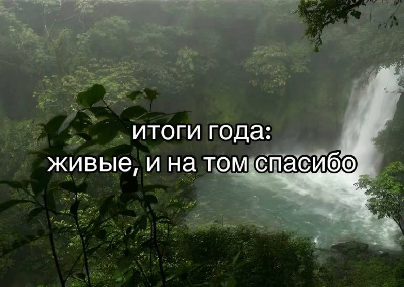 Бред ежа