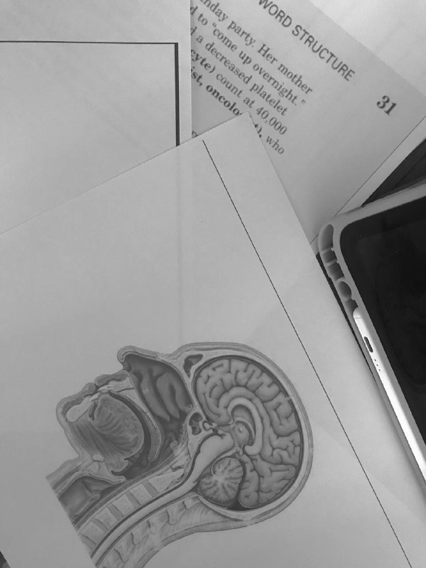 فَـــ ١٤٢٥.