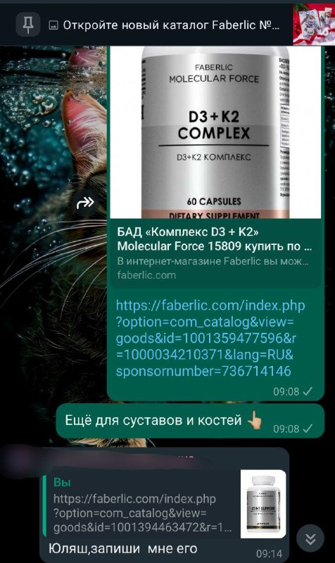 КУРС НА 💎 ДИРЕКТОРА FL💎 Иваник …