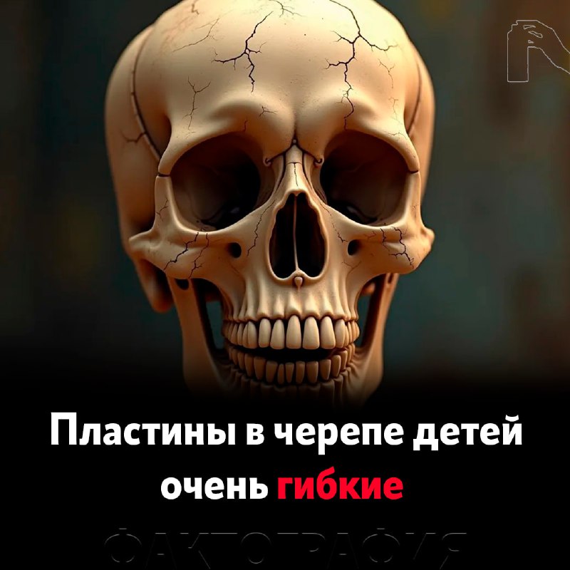 ***💀***Созданы для защиты от повреждений при …