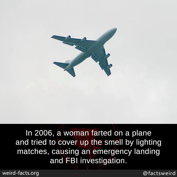 Facts29