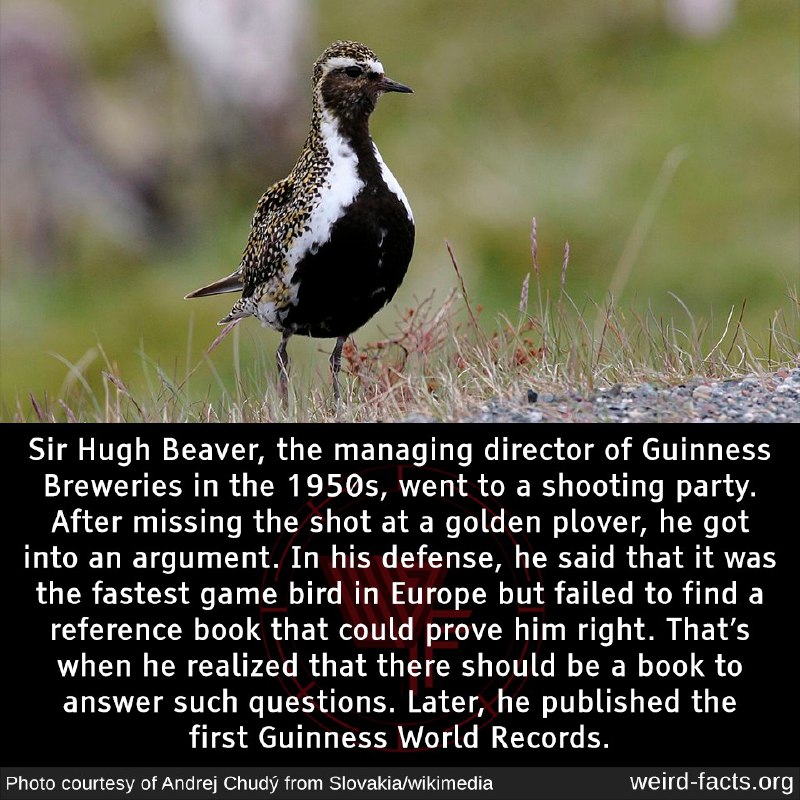 Facts29