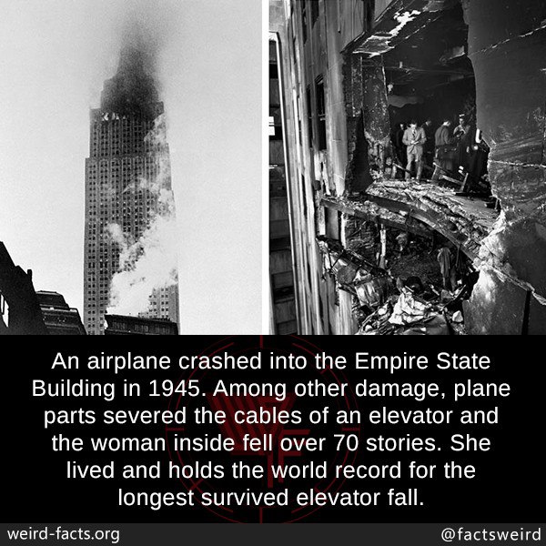 Facts29