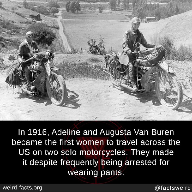Facts29