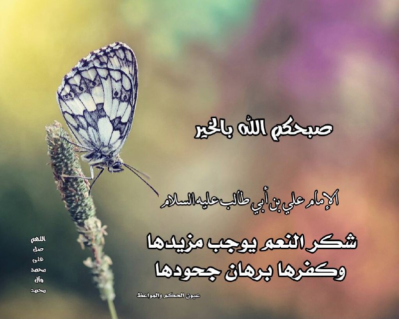 شُكْرُ النِّعَمِ