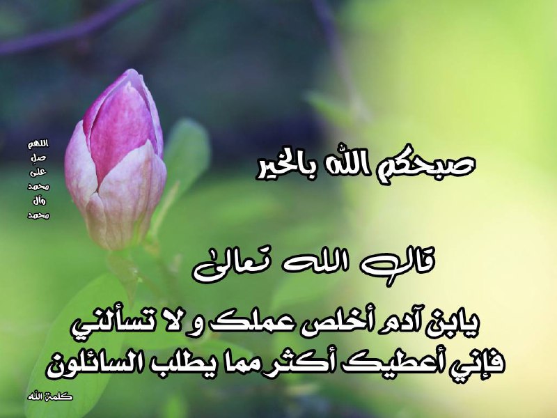 قال الله تعالى: