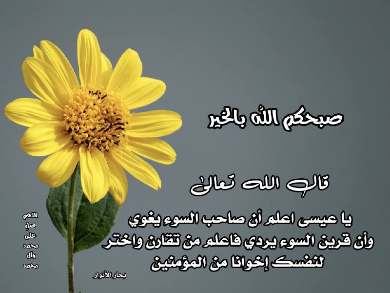 قال الله تعالى: