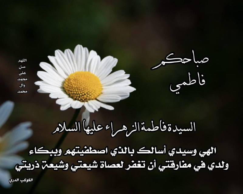 أن تغفر لعصاة شيعتي
