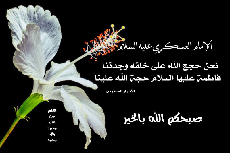 نحن حجج الله