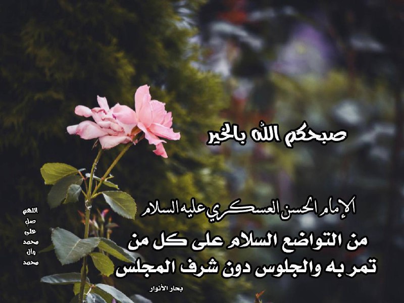 من التواضع