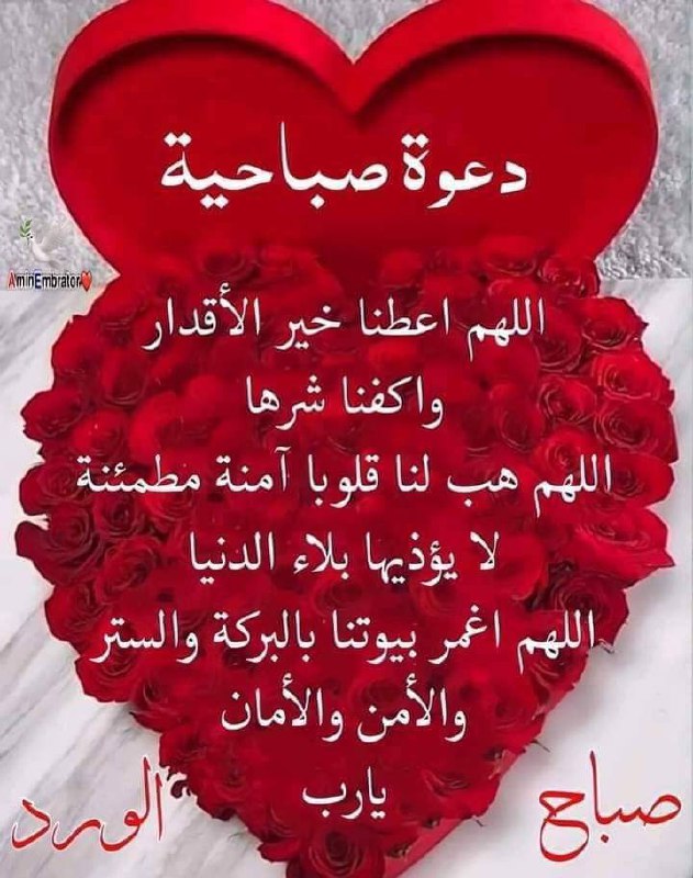 صدقه جاريه ❤️