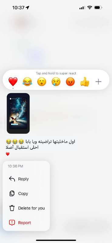 🧚🏻‍♀️✨🍀فرح الذهبي 🍀✨🧚🏻‍♀️