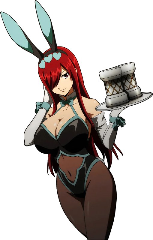 Erza Bunny Outfit